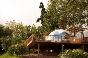 Wallaby Glamping